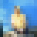 ���������� �����������, ���� ������� ���������, 35 ���, ������������ 