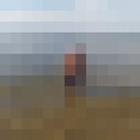 ���������� �������, ���� ������� �����, 39 ���, ������������ ��� ������, ����� � ���������