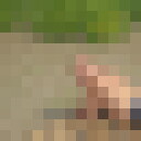 ���������� ������������, ���� ������� �����, 43 ����, ������������ ��� ����� � ���������, c�������� ���������