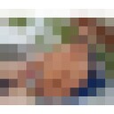 ���������� ������, ���� ������� ������, 41 ���, ������������ ��� ������, ����� � ���������