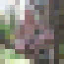  ,   , 55 ,     , c 