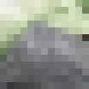 ���������� ��������, ���� ������� ������, 36 ���, ������������ ��� ������, ����� � ���������, c�������� ���������, ���������