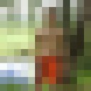 ���������� ������, ���� ����� ������, 23 ����, ������������ ��� ������, ����� � ���������