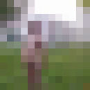  ,   , 51 ,   