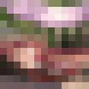 ���������� ��������, ���� ����� ����, 22 ����, ������������ ��� ������, ����� � ���������, c�������� ���������, ���������