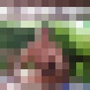 ���������� �����������, ���� ������� ������, 39 ���, ������������ ��� ������, ����� � ���������, ���������