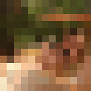  Piastow,   Sofia, 19 ,   ,   