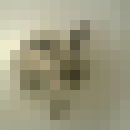 ���������� ����, ���� ������� ���������, 44 ����, ������������ ��� ������, ����� � ���������, c�������� ���������