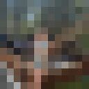 ���������� ������������, ���� ������� ����, 22 ����, ������������ ��� ������, ����� � ���������, c�������� ���������, ���������