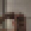 ���������� ���������, ���� ����� ���������, 24 ����, ������������ ��� ������, ����� � ���������