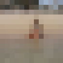  -,     , 44 ,  