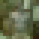  -,   Genysy275, 51 ,   