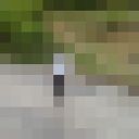  ,   Perviz, 44 ,   ,   , c 