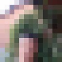 ���������� ���������, ���� ������� ������, 42 ����, ������������ ��� c�������� ���������