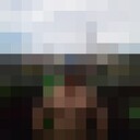 ,   ˸, 57 ,   ,   , c 