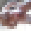  ,   KOTIK27, 49 ,   ,   , c 