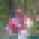  ,   Pavel, 44 ,   ,   , c 