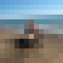  ,   C, 49 ,     , c 