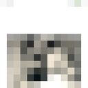 ���������� ������, ���� ������� ���, 43 ����, ������������ ��� ������, ����� � ���������