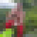 ���������� �������, ���� ������� ��������, 50 ���, ������������ ��� ������, ����� � ���������