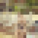 ���������� �������, ���� ������� ����, 39 ���, ������������ ��� ������