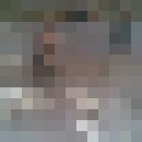  ,   , 36 ,   