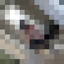 ���������� ������, ���� ������� ���, 23 ����, ������������ ��� ������, ����� � ���������