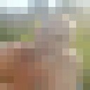 ���������� ������, ���� ������� �������, 47 ���, ������������ ��� ������, ����� � ���������, c�������� ���������