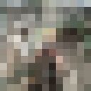 ���������� ����, ���� ������� Dmitry, 31 ���, ������������ ��� ������, ����� � ���������