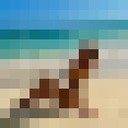 ���������� ������, ���� ������� ����, 39 ���, ������������ 