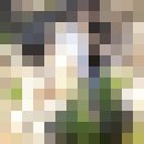  ,   , 32 ,   ,   , c 