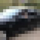  ,   , 40 ,   ,   , c , 