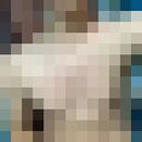 ���������� �������, ���� ����� ���������, 21 ���, ������������ ��� ������