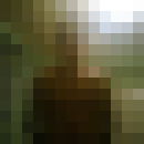 ���������� ������������, ���� ������� �����, 40 ���, ������������ ��� ������