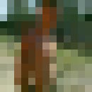  ,   , 33 ,     , c 
