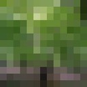  ,   Nusret, 41 ,   ,   , c 