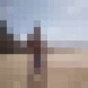  ,   Tarik, 36 ,   ,   
