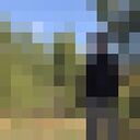 ���������� ����������, ���� ������� ����, 26 ���, ������������ ��� ������, ����� � ���������