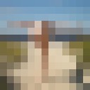  ,   Tommy, 43 ,   ,   , c 