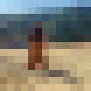  ,   , 31 ,     , c 