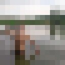 ���������� ������, ���� ������� ����, 28 ���, ������������ ��� ������, ����� � ���������