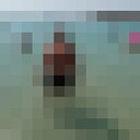  --,   , 37 ,   ,   