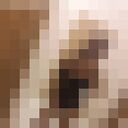 ���������� ������, ���� ������� ����, 23 ����, ������������ ��� ������, ����� � ���������