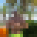  ,   , 41 ,   , c , 