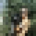  ,   , 38 ,   c 