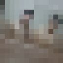 ���������� ����-�����, ���� ����� ������, 23 ����, ������������ ��� ������, ����� � ���������