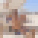  -,   , 37 ,   ,   , c , 