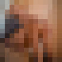 ���������� ����, ���� ������� ������, 36 ���, ������������ 