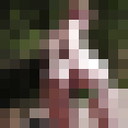 ���������� ���������, ���� ������� ���������, 24 ����, ������������ ��� ������, ����� � ���������, c�������� ���������