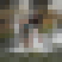  ,   , 43 ,  